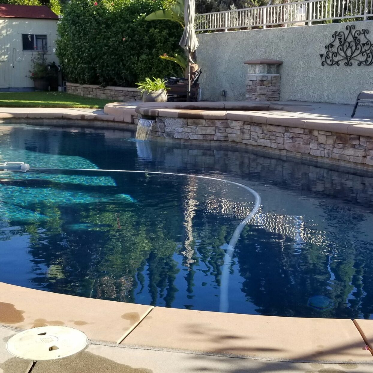 Sunny backyard with a curved in-ground pool, stone coping, and lounge chairs along a concrete pool deck.